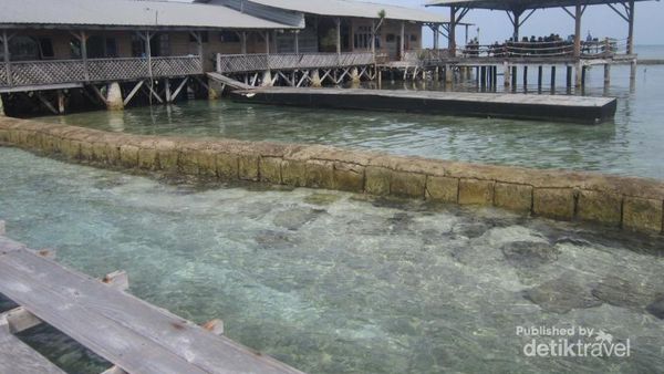 Foto: Restoran Kepulauan Seribu yang Punya Penangkaran Hiu