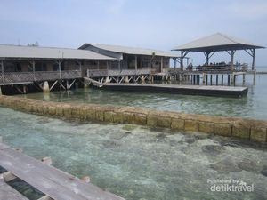 Foto: Restoran Kepulauan Seribu yang Punya Penangkaran Hiu