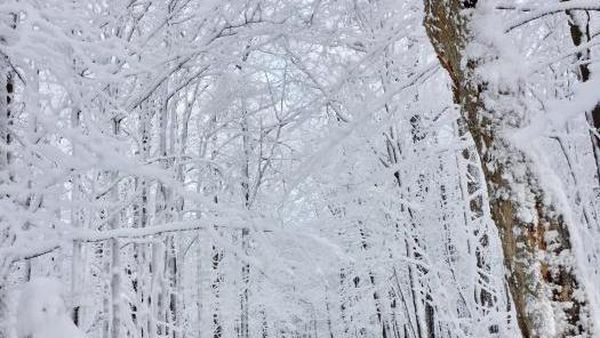 Foto: Saat Musim Salju di Kanada