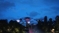 Foto: Saat Pohon Ajaib Singapura Menyala