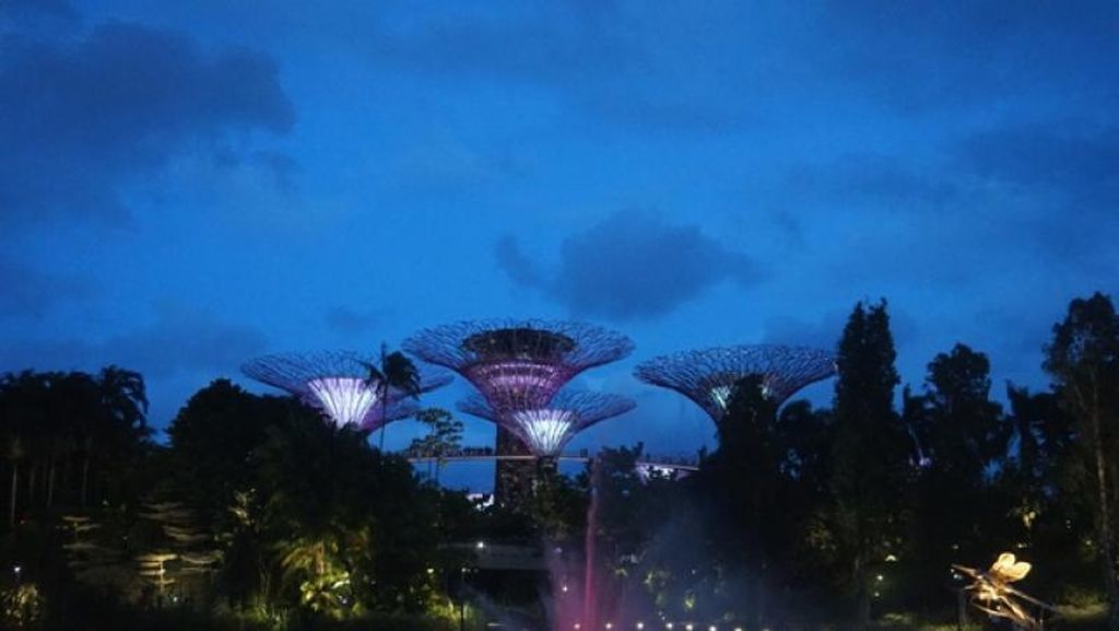 Foto: Saat Pohon Ajaib Singapura Menyala Foto: Saat Pohon Ajaib Singapura Menyala