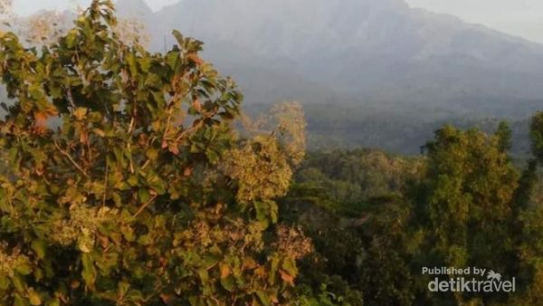 Foto: Selamat Pagi dari Gunung Wilis