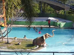 Foto: Selamat Pagi dari Lereng Gunung Wilis