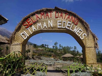 Foto: Taman Bunga di Kaki Gunung Agung