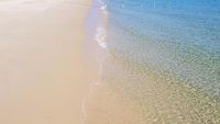 Foto Tangalooma, Pulau Terbaik di Australia