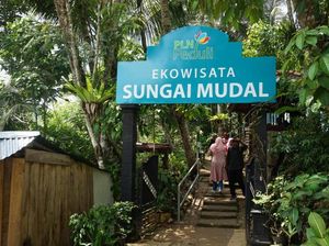 Foto: Yang Sejuk-sejuk di Yogya, Ini Tempatnya