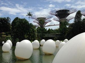 Gardens By The Bay, Taman Ciamik Di Jantung Kota Singapura