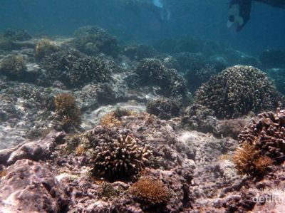 Gili Trawangan, Surga Bawah Laut di Lombok