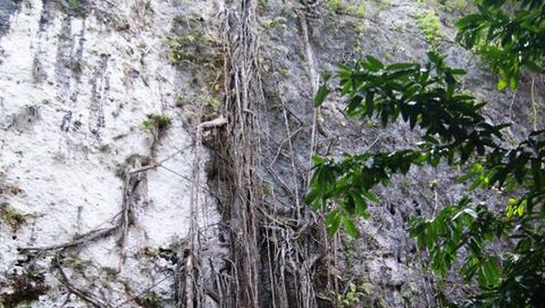 Goa Cerme, Bantul - Yogyakarta