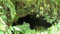 Goa Erci yang Penuh Kelelawar di Deli Serdang