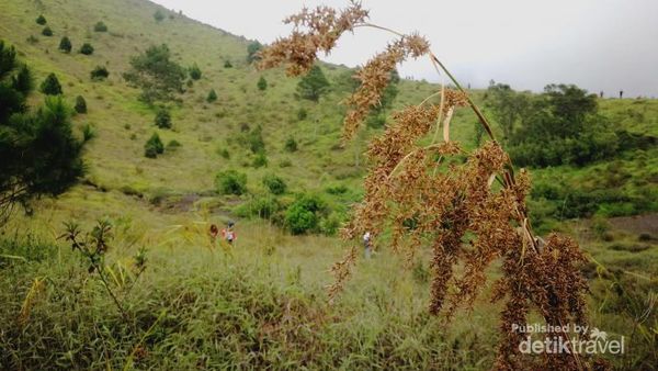 Gunung Guntur yang Memikat