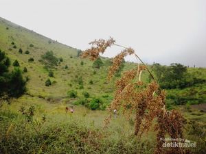 Gunung Guntur yang Memikat