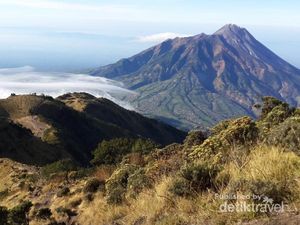 Gunung Merbabu yang Bikin Rindu