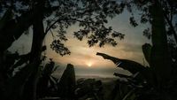 Gunung Munara di Bogor yang Indah Nan Menantang