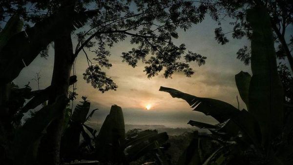 Gunung Munara di Bogor yang Indah Nan Menantang
