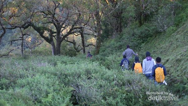 Gunung Mutis, Bagai Eropa di NTT