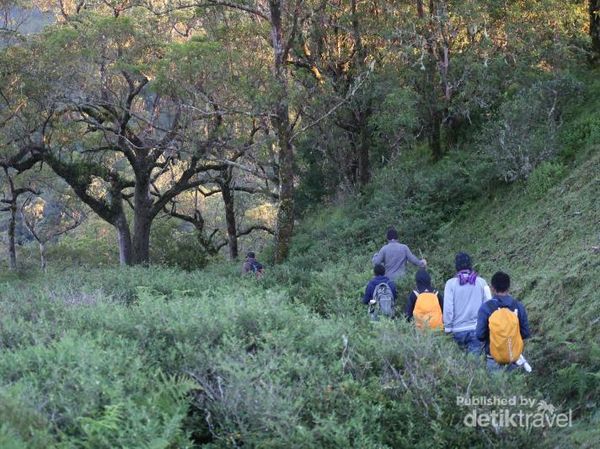 Gunung Mutis, Bagai Eropa di NTT