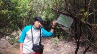 Gunung Papandayan Punya Surga Edelweis
