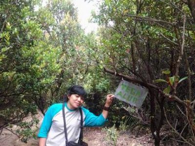Gunung Papandayan Punya Surga Edelweis