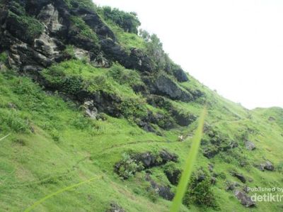 Gunungkidul Juga Punya Air Terjun yang Jatuh ke Laut