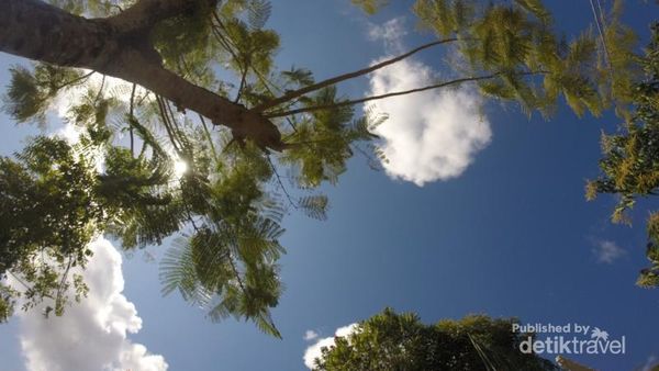 GWK Bali, Calon Patung Terbesar di Dunia