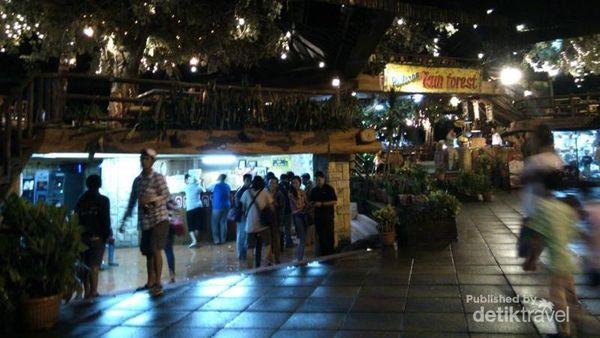 Habiskan Akhir Pekan Dengan Safari Malam di Cisarua, Bogor