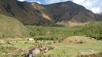 Hamparan Karpet Hijau di Lembah Ramma, Sulawesi Selatan