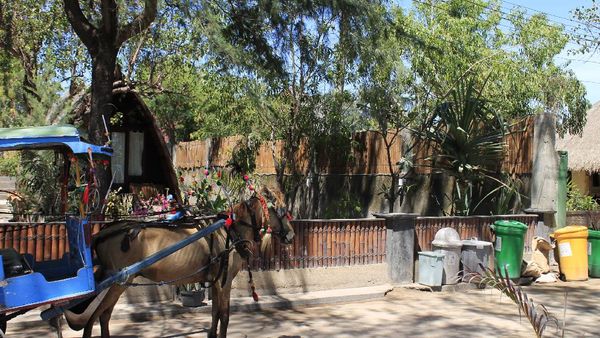 Hatiku Tertawan di Gili Trawangan