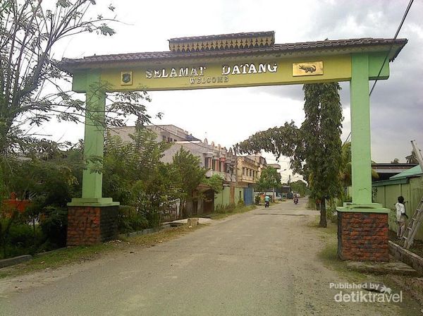 Hiii, Masih Ada Buaya di Medan!