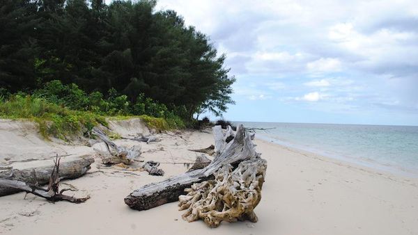 Hiii! Pulau Ini Dihuni Ribuan Kelelawar