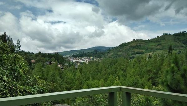 Hijau Sejauh Mata Memandang di Lembang