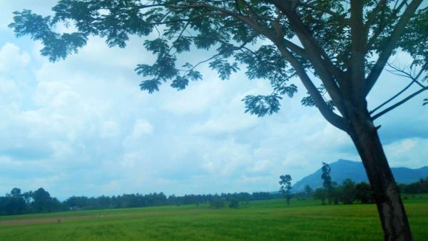 Hijaunya Alam Sumbar, Bikin Hati Jadi Damai Hijaunya Alam Sumbar, Bikin Hati Jadi Damai