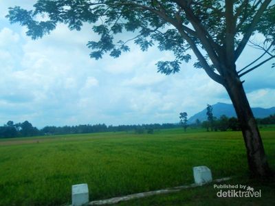 Hijaunya Alam Sumbar, Bikin Hati Jadi Damai