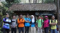 Hijaunya Deretan Pohon Pinus di Gunung Manglayang, Bandung