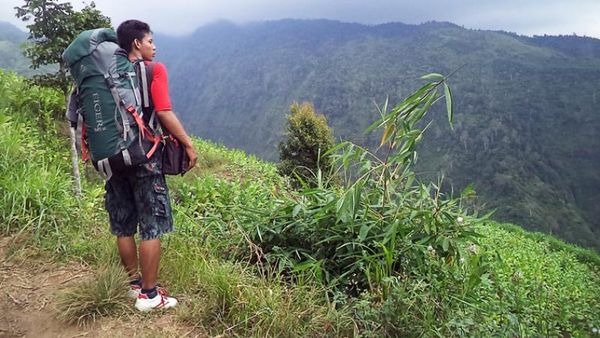 Hijaunya Savana Gunung Argopuro di Probolinggo