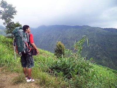 Hijaunya Savana Gunung Argopuro di Probolinggo