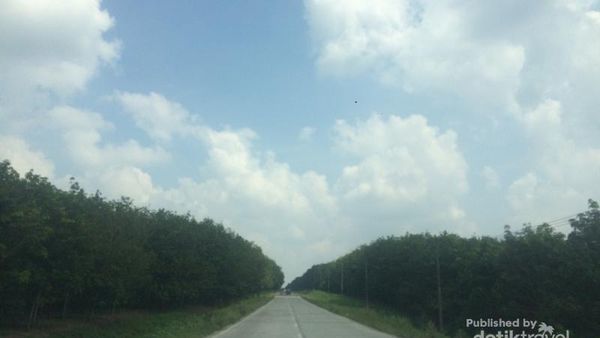 Hilangkan Penat di Hutan Karet Teduh yang Instagrammable