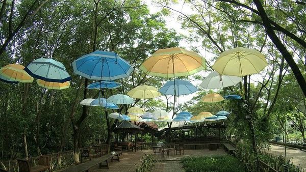 Hutan Mangrove yang Asyik Buat Libur Akhir Pekan di Jakarta