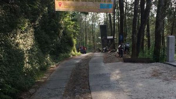Hutan Pinus di Magelang yang Sejuk dan Asyik Buat Foto-foto