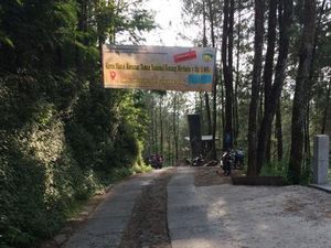 Hutan Pinus di Magelang yang Sejuk dan Asyik Buat Foto-foto