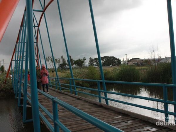 Ide Jalan-jalan Sabtu Pagi, Ke Hutan Kota Banda Aceh