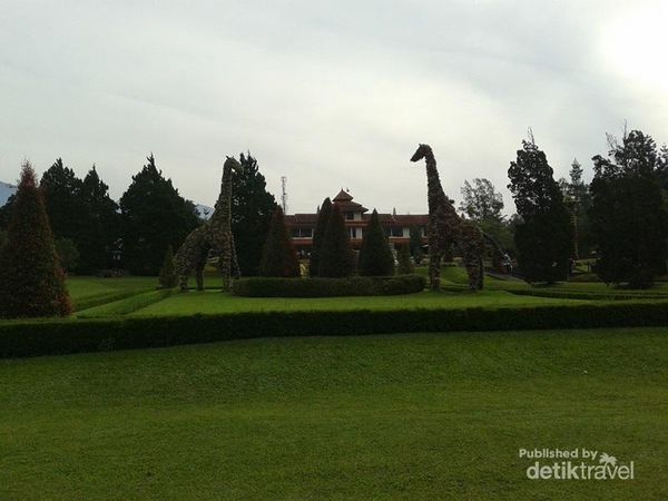 Ide Liburan Weekend Ini, ke Taman Bunga Nusantara