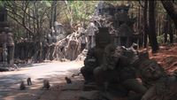 Ide Weekend: Wisata Edukasi di Taman Safari Prigen