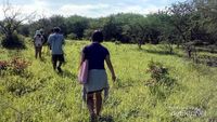 Long Weekend, Bertualang Ala Afrika di Baluran