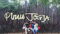 Indahnya Hutan Pinus Jogja yang Tak Pernah Membosankan