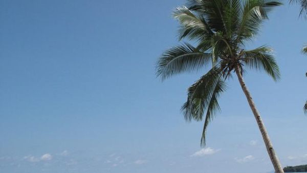 Indahnya Pantai Daftel