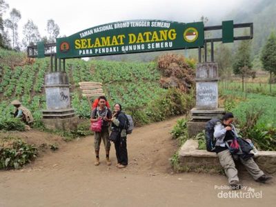 Indahnya Pesona Semeru dan Bromo
