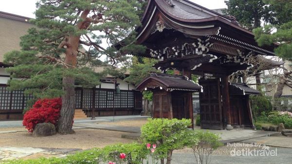 Indahnya Sakura di Takayama, Jepang