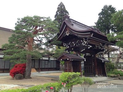 Indahnya Sakura di Takayama, Jepang