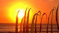 Ini Bukti Indonesia Berjuluk Negeri Sejuta Sunset